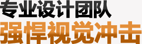 專業(yè)設(shè)計(jì)團(tuán)隊(duì)