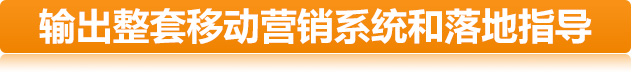 輸出整套移動(dòng)營銷系統(tǒng)和落地指導(dǎo)