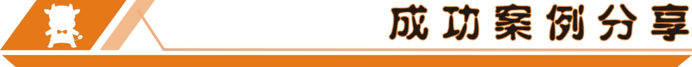 成功案例分享