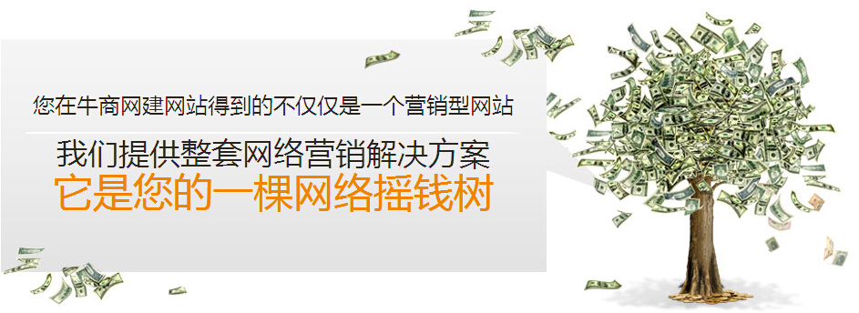 企業(yè)網(wǎng)站招商加盟網(wǎng)絡(luò)營銷