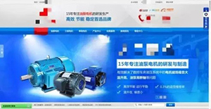 真身李逵：PC營銷型網(wǎng)站首屏