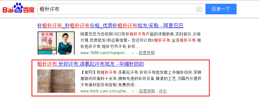 網(wǎng)站排名情況