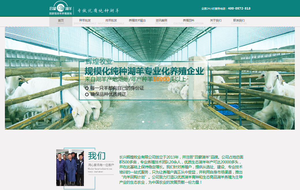 營(yíng)銷型網(wǎng)站案例