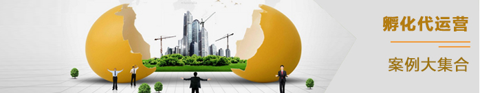孵化代運(yùn)營(yíng)案例匯總 孵化代運(yùn)營(yíng)案例匯總
