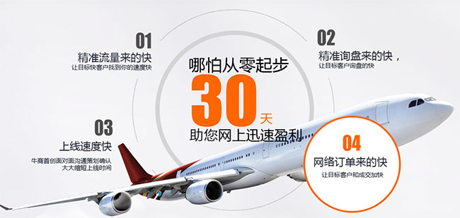 快效的優(yōu)勢 快效的優(yōu)勢