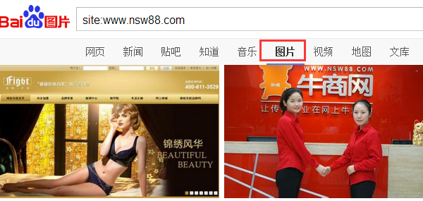 查詢網(wǎng)站圖片收錄量