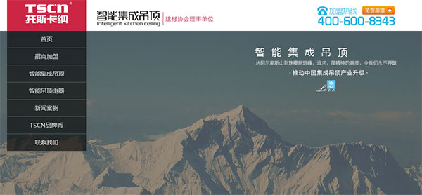 營(yíng)銷型網(wǎng)站案例