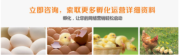 網(wǎng)站運(yùn)營