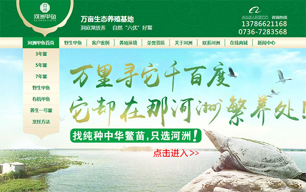 營銷型網(wǎng)站案例