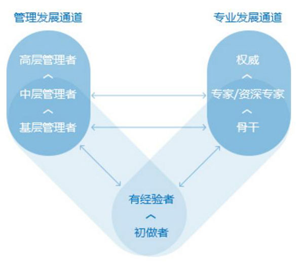 管理發(fā)展通道