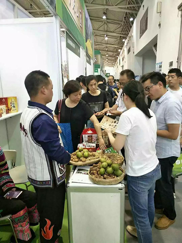 云南薄殼核桃參展現(xiàn)場