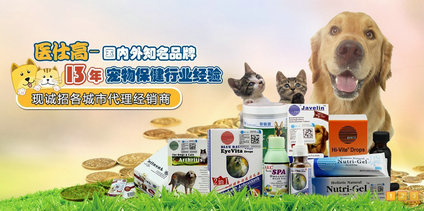 營銷型網(wǎng)站：醫(yī)仕高貿(mào)易成功案例分享