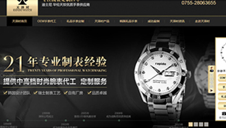 深圳天澤時科技營銷型網(wǎng)站案例