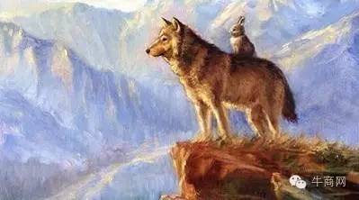 狼是怎么死在兔子手下的? 看懂的老板都驚呆了！！