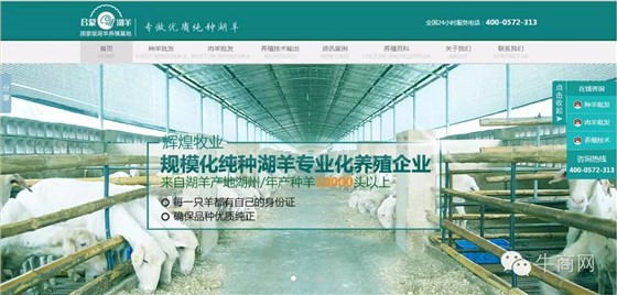 輝煌牧業(yè)湖羊養(yǎng)殖、湖羊批發(fā)營(yíng)銷型網(wǎng)站首頁(yè)