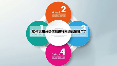 淺談運用分類信息進行網(wǎng)絡(luò)營銷推廣(一)