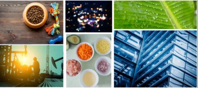 牛商云版權圖庫重磅上線！單價低至9.9元/張！