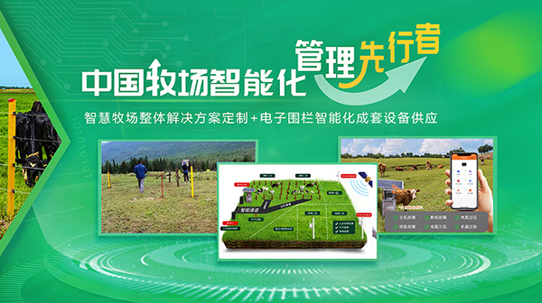 北京倍特雙科技發(fā)展有限公司營(yíng)銷型網(wǎng)站建設(shè)進(jìn)行中