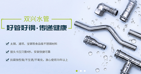 廣東雙興新材料集團(tuán)有限公司營(yíng)銷型網(wǎng)站建設(shè)進(jìn)行中