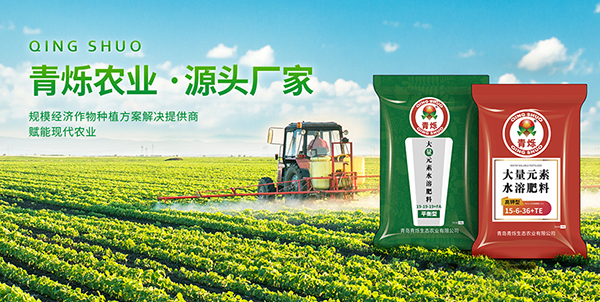 青島青爍生態(tài)農(nóng)業(yè)有限公司營銷型網(wǎng)站建設(shè)進行中