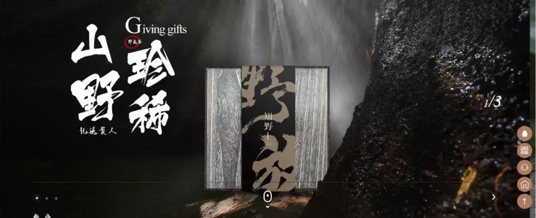 新品牌如何搭建高級(jí)感官網(wǎng)站？來(lái)看這家茶品牌企業(yè)是怎么做的！