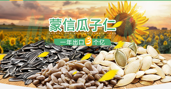 五原縣誠信糧油食品有限責(zé)任公司-營銷型網(wǎng)站案例展示