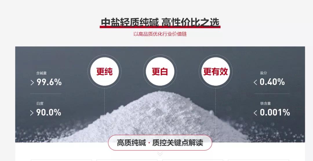 真實(shí)記錄大型央企的觸網(wǎng)之路