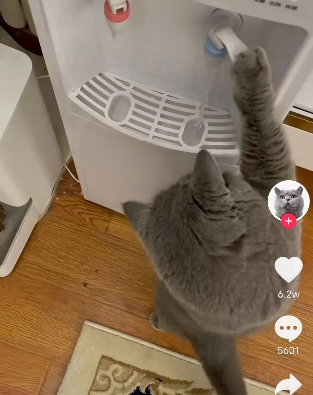 企業(yè)號為什么沒有流量