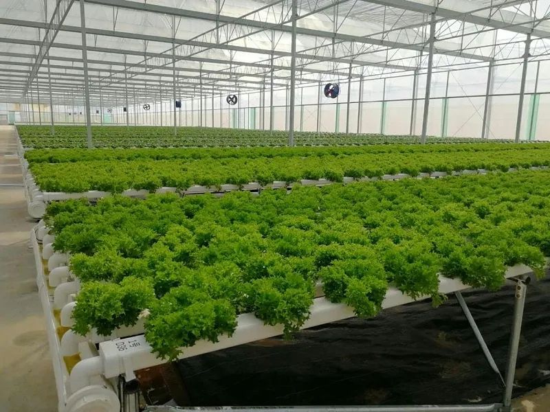 農(nóng)業(yè)怎么做短視頻？這家企業(yè)一個月獲客100+！